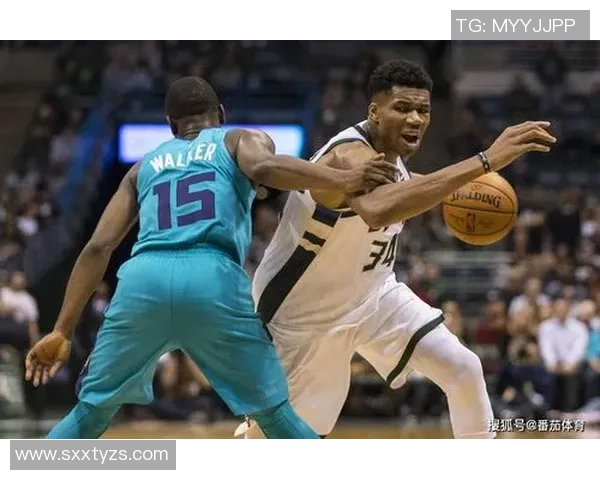 雄鹿与黄蜂对决前瞻分析及比赛结果预测全解析